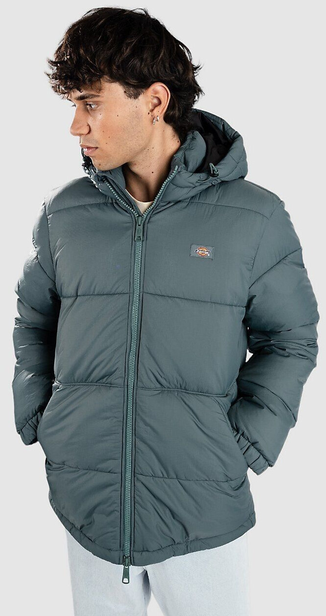 Dickies Waldenburg Jacket (DK0A4YEY0LN1)