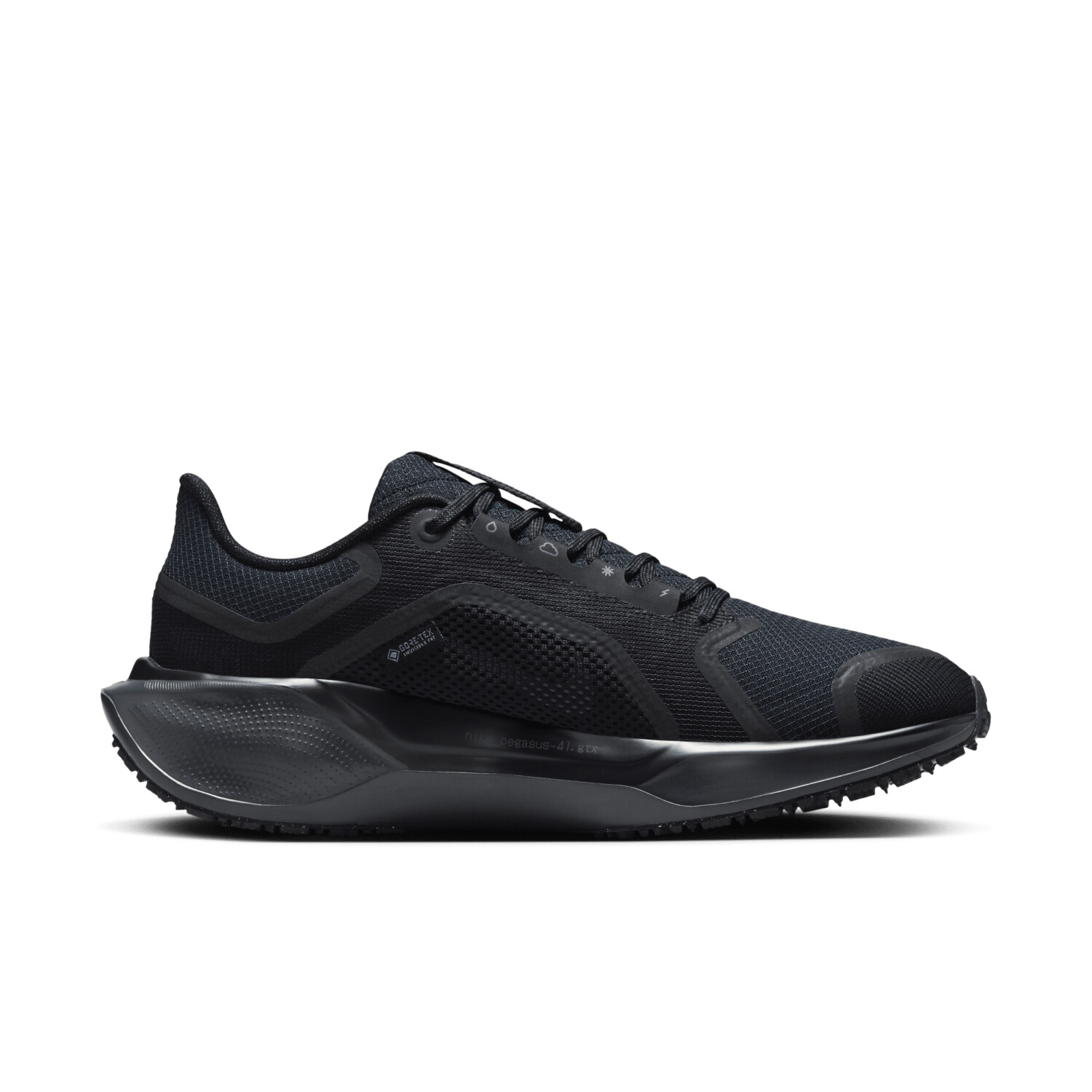 Nike Pegasus 41 GORE-TEX Women