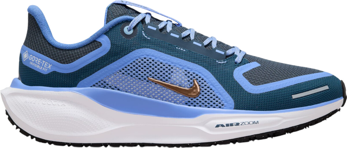 Nike Pegasus 41 GORE-TEX Women (FQ1357-400) cobalt bliss/armory navy/royal pulse/metallic red bronze
