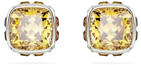 Swarovski Earring (5660802)