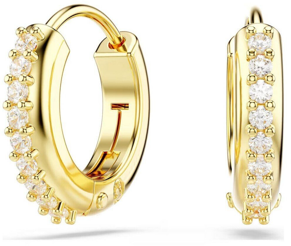 Swarovski Earring (5697228)