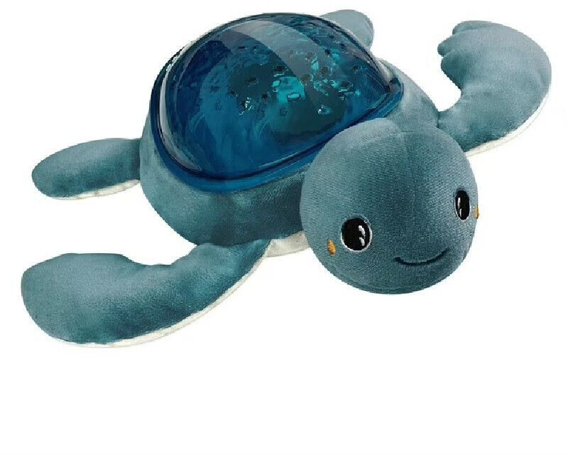 Pabobo Tortue Aqua Dream