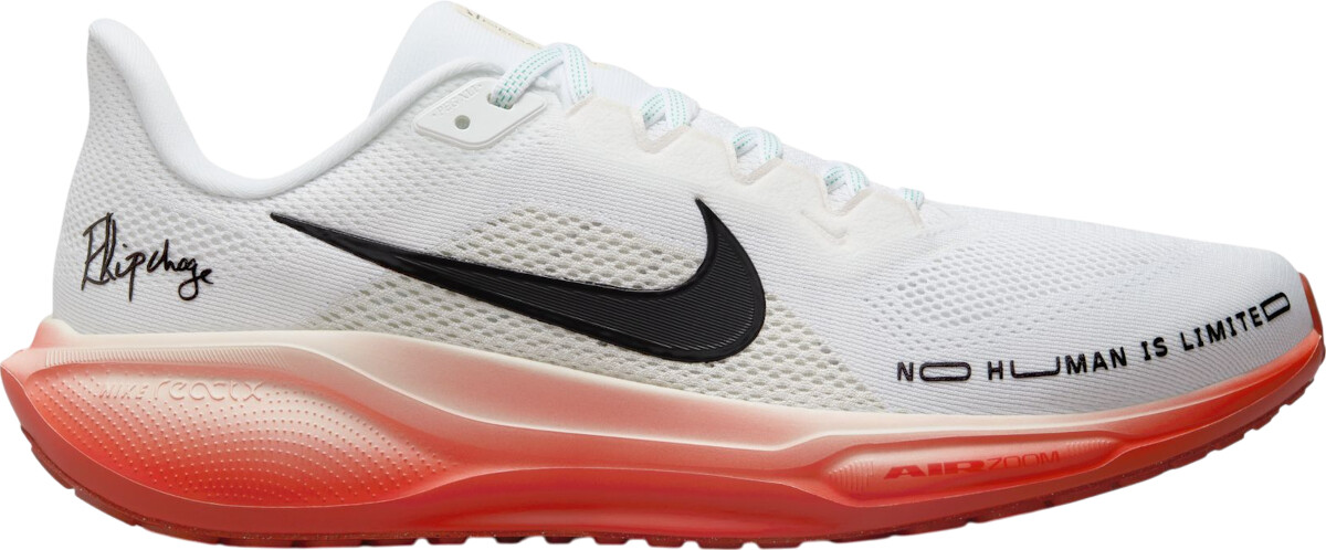 Nike Pegasus 41 white/pale ivory/dragon red/black