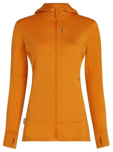 Icebreaker Merino 260 Quantum IV Long Sleeve Zip Hoodie ray