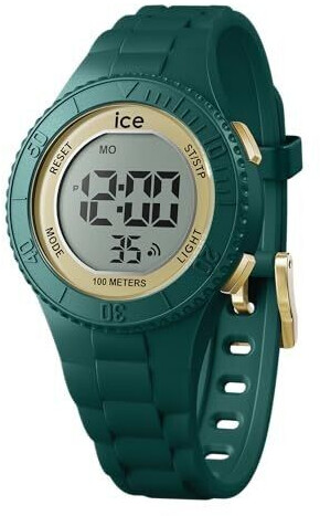 Ice Watch 021619