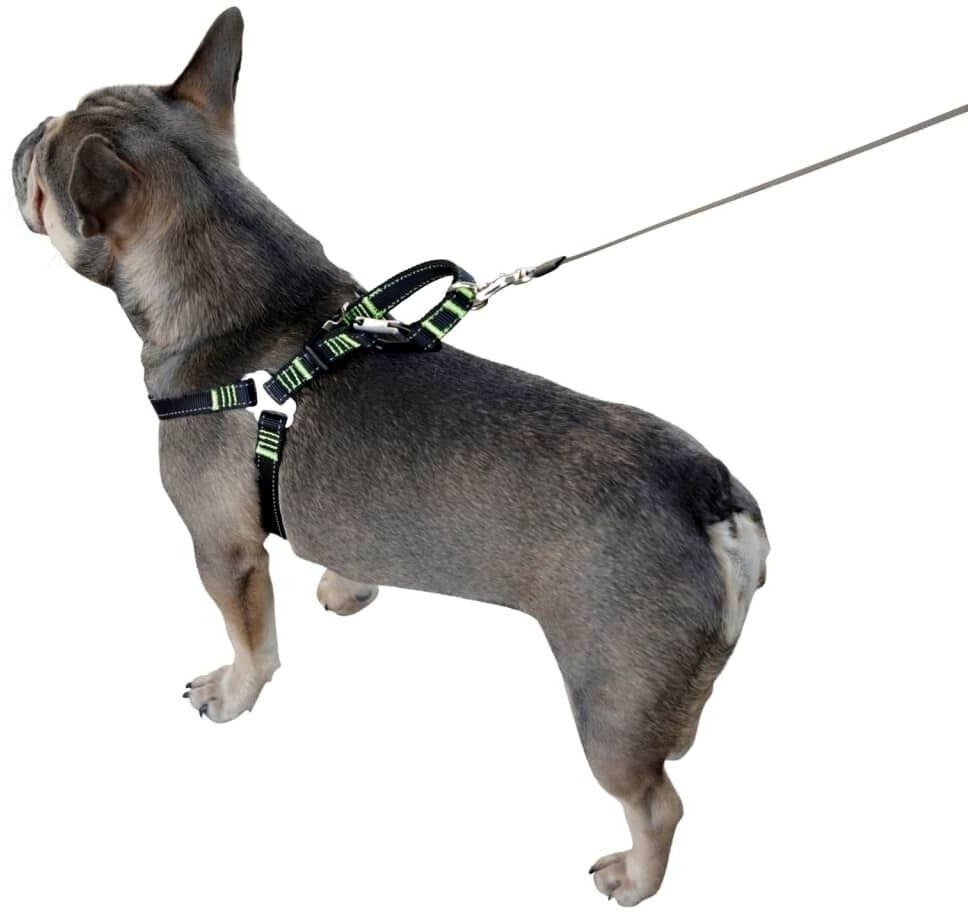 Kerbl Harnais de voiture pour chien 65-85 cm noir Kerbl Harnais de voiture pour chien 65-85 cm noir