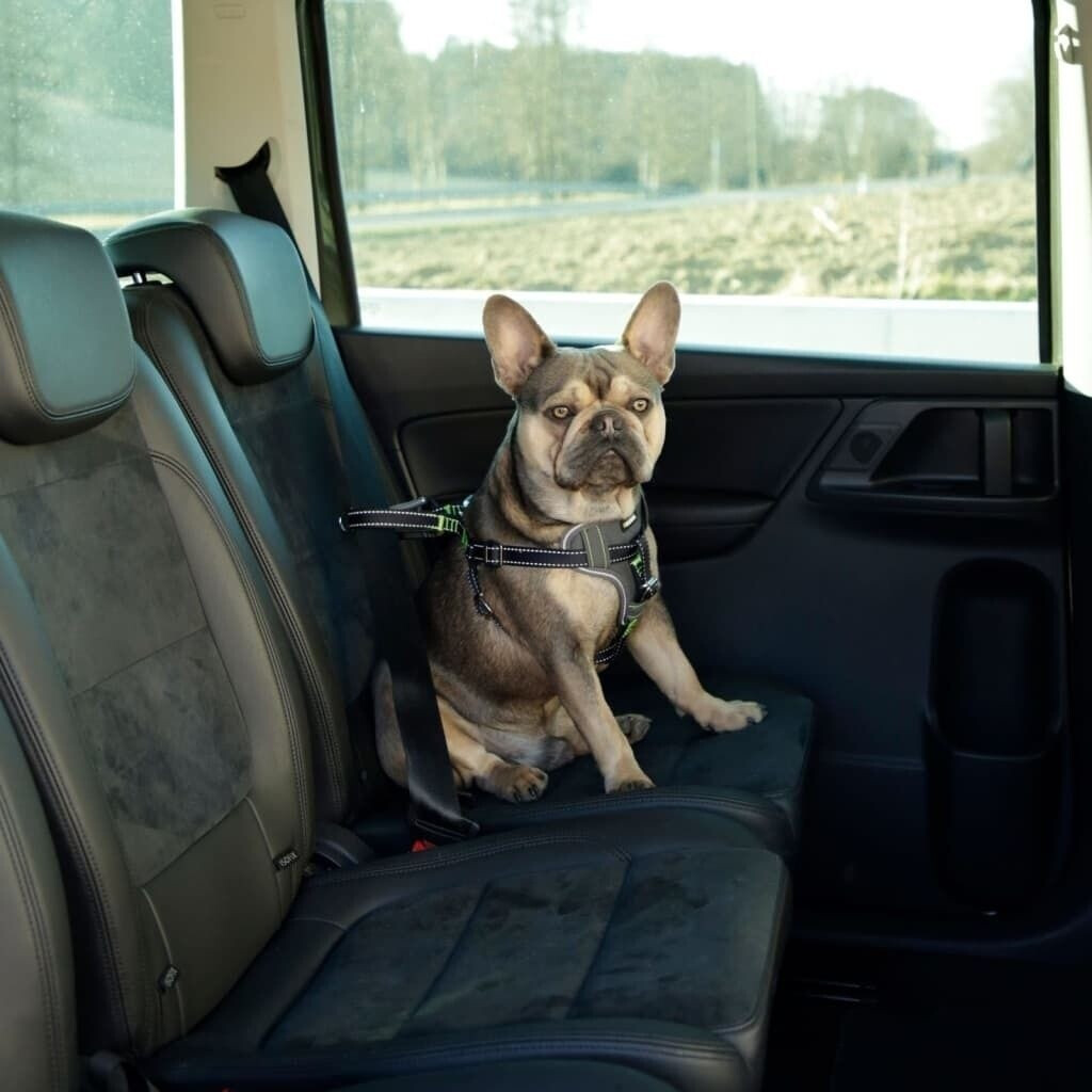 Kerbl Harnais de voiture pour chien 65-85 cm noir Kerbl Harnais de voiture pour chien 65-85 cm noir