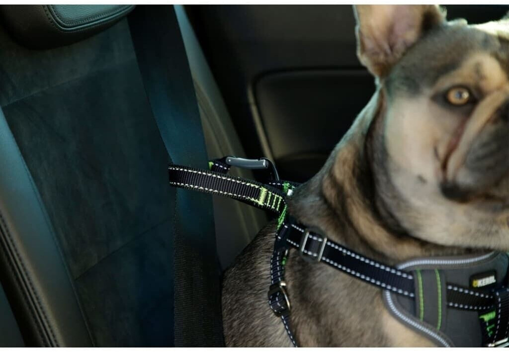 Kerbl Harnais de voiture pour chien 65-85 cm noir Kerbl Harnais de voiture pour chien 65-85 cm noir