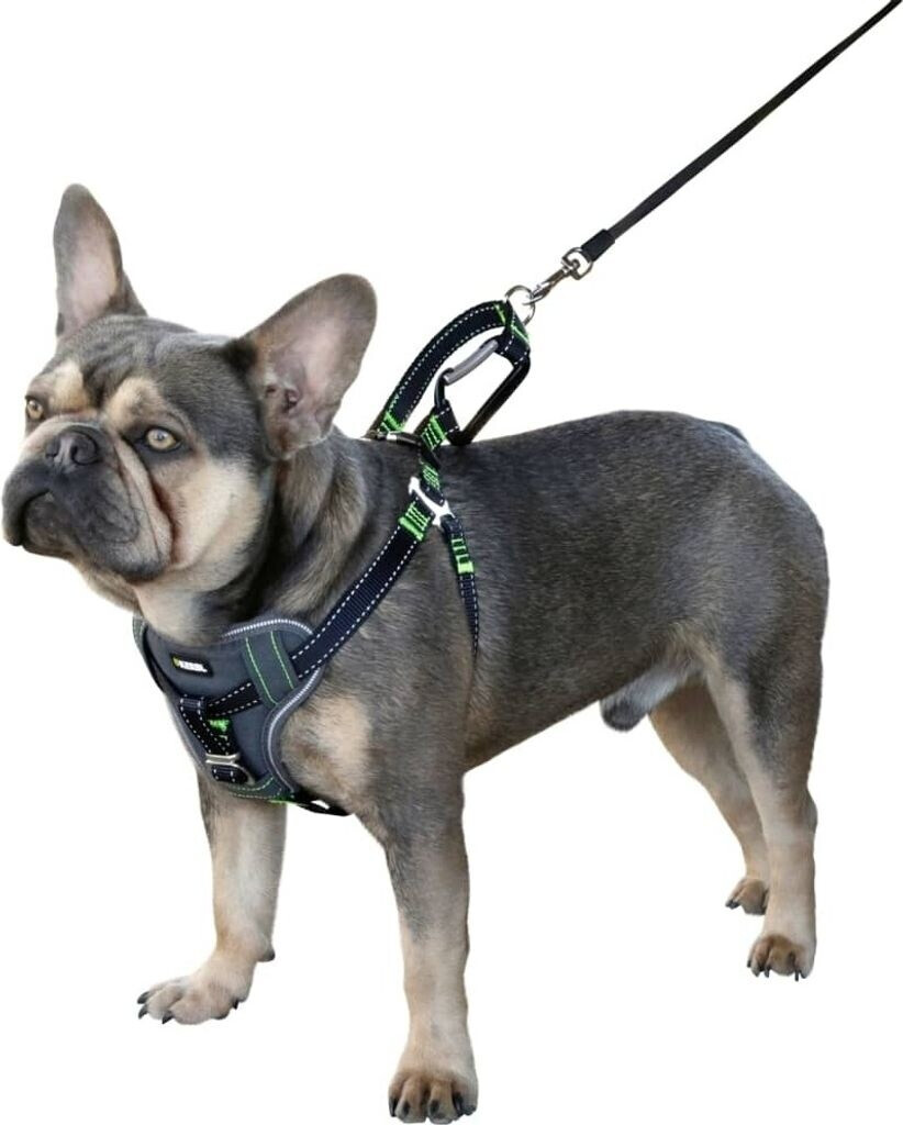 Kerbl Harnais de voiture pour chien 65-85 cm noir Kerbl Harnais de voiture pour chien 65-85 cm noir