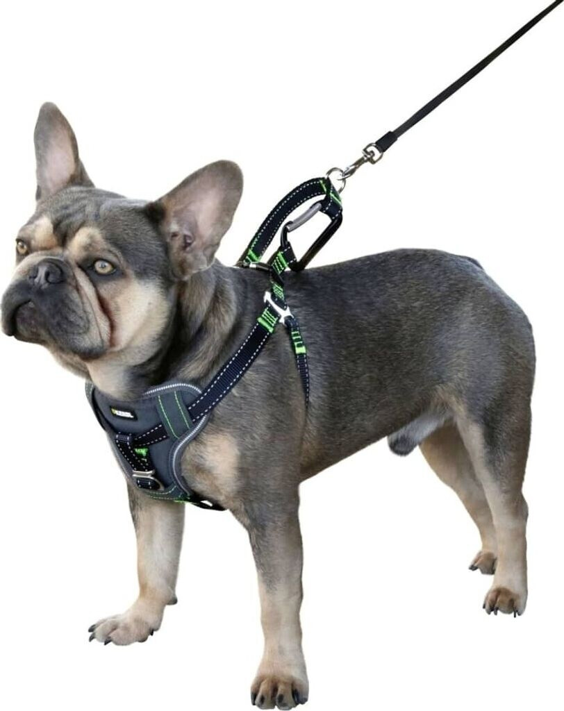 Kerbl Harnais de voiture pour chien 50-65 cm noir Kerbl Harnais de voiture pour chien 50-65 cm noir