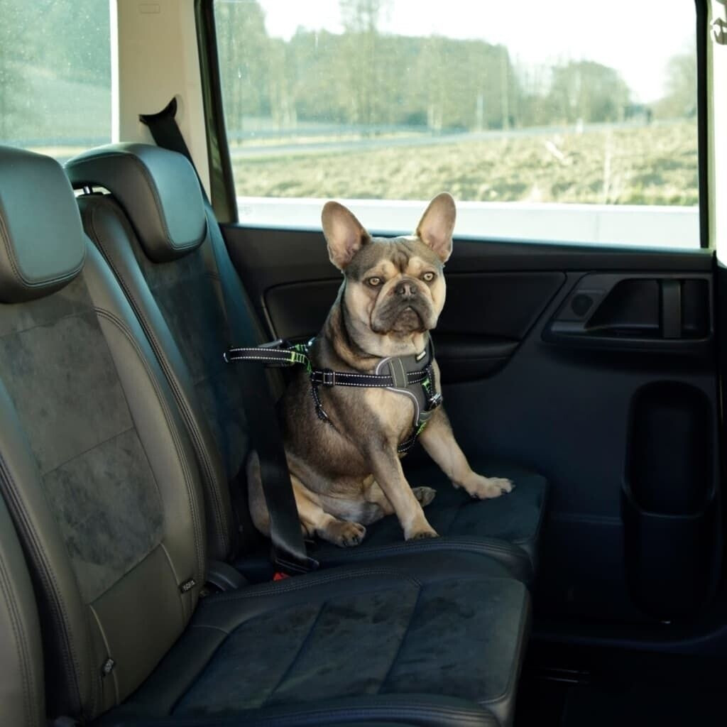 Kerbl Harnais de voiture pour chien 50-65 cm noir Kerbl Harnais de voiture pour chien 50-65 cm noir