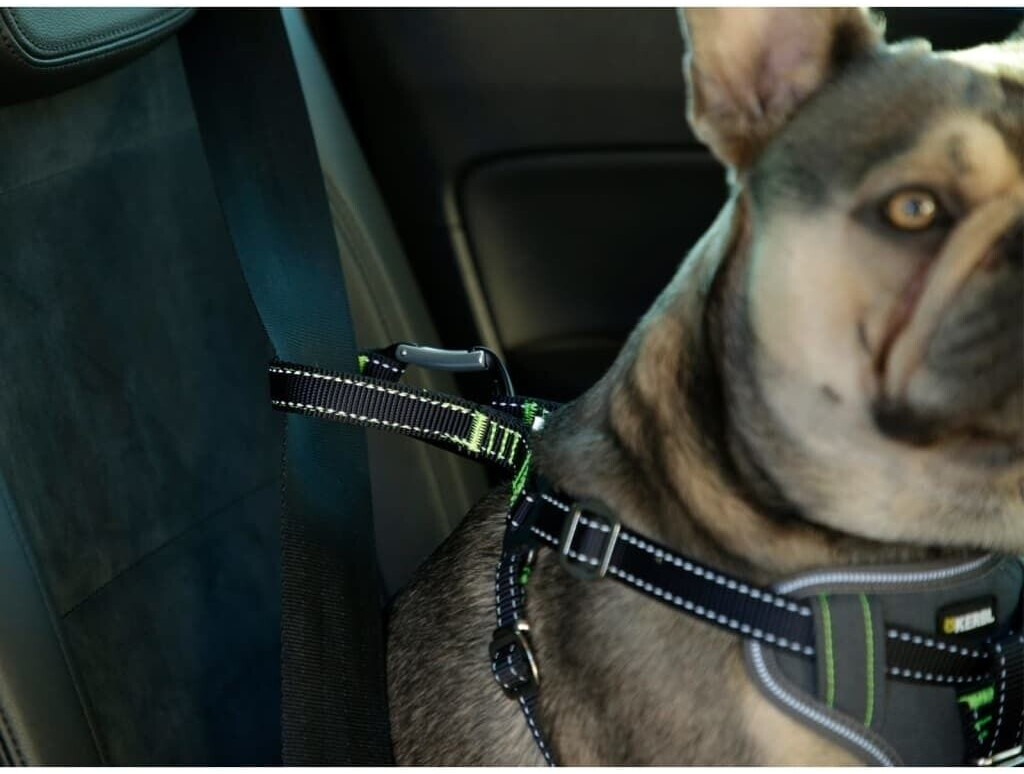 Kerbl Harnais de voiture pour chien 50-65 cm noir Kerbl Harnais de voiture pour chien 50-65 cm noir
