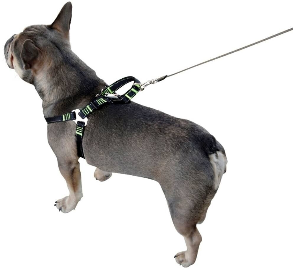 Kerbl Harnais de voiture pour chien 50-65 cm noir Kerbl Harnais de voiture pour chien 50-65 cm noir