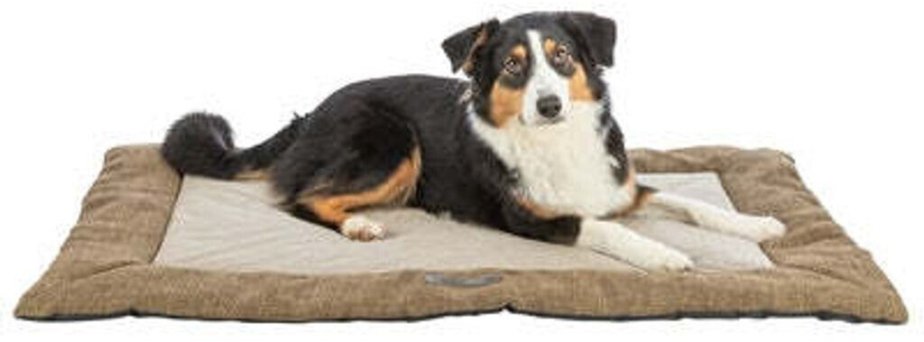 Trixie Tapis pour chien 120x80cm brown Trixie Tapis pour chien 120x80cm brown