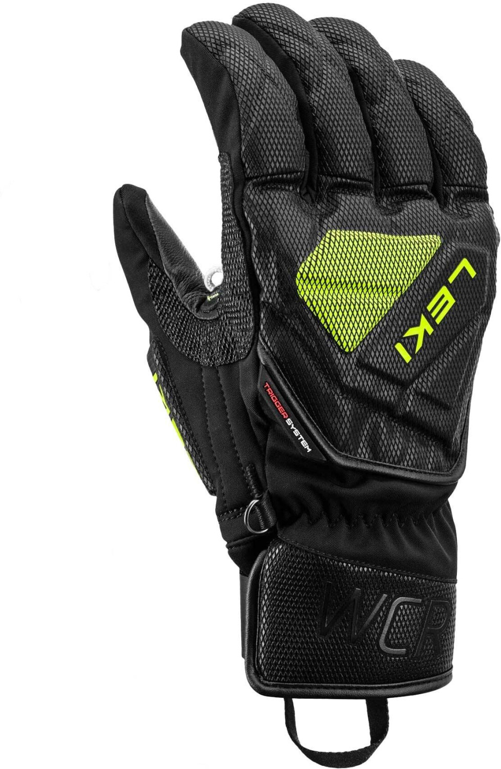 Leki Alpino WCR C-Tech 3D
