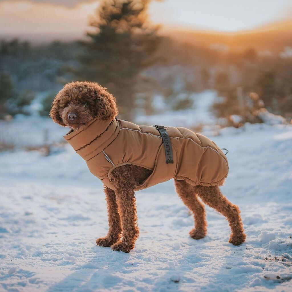 HUNTER Manteau pour chien 45cm caramel HUNTER Manteau pour chien 45cm caramel