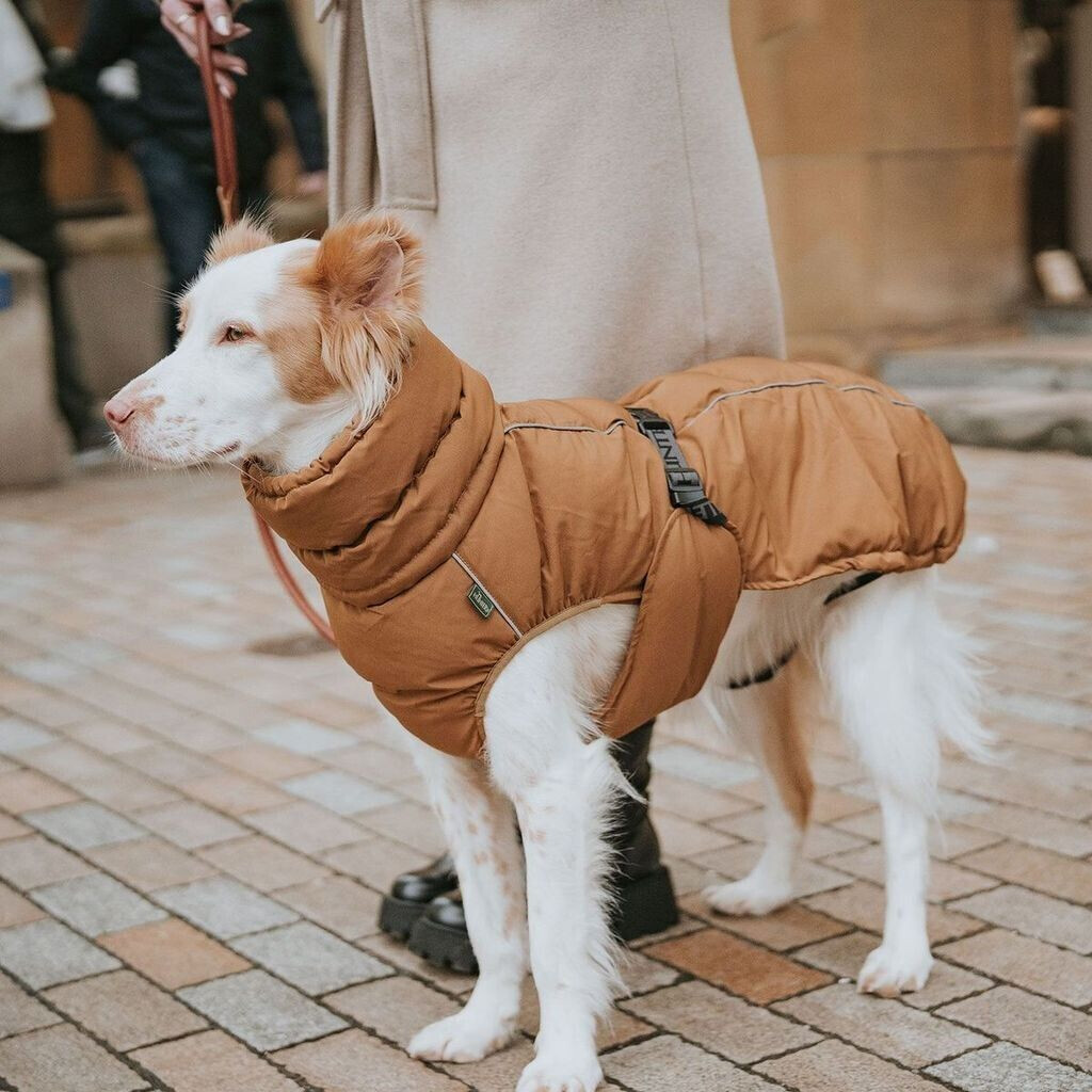 HUNTER Manteau pour chien 45cm caramel HUNTER Manteau pour chien 45cm caramel