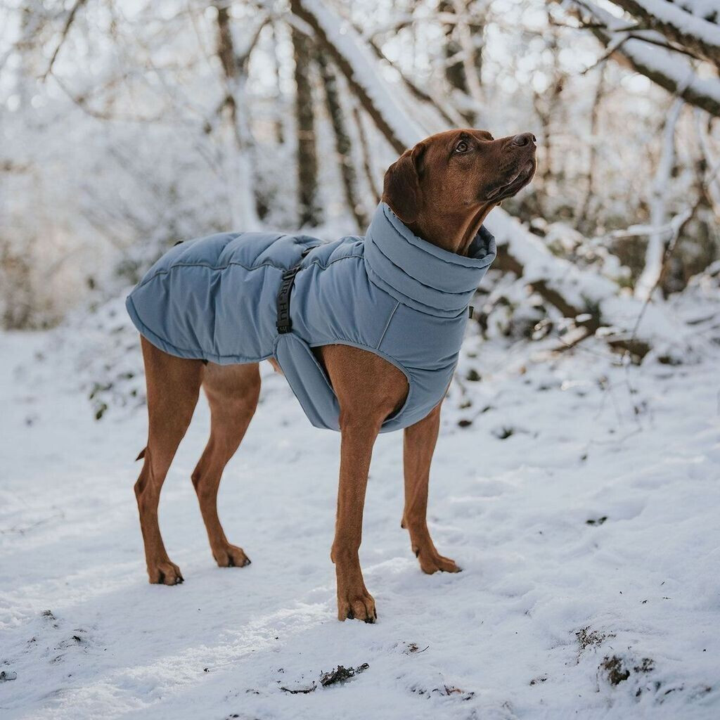 HUNTER Manteau pour chien 60cm dove blue HUNTER Manteau pour chien 60cm dove blue