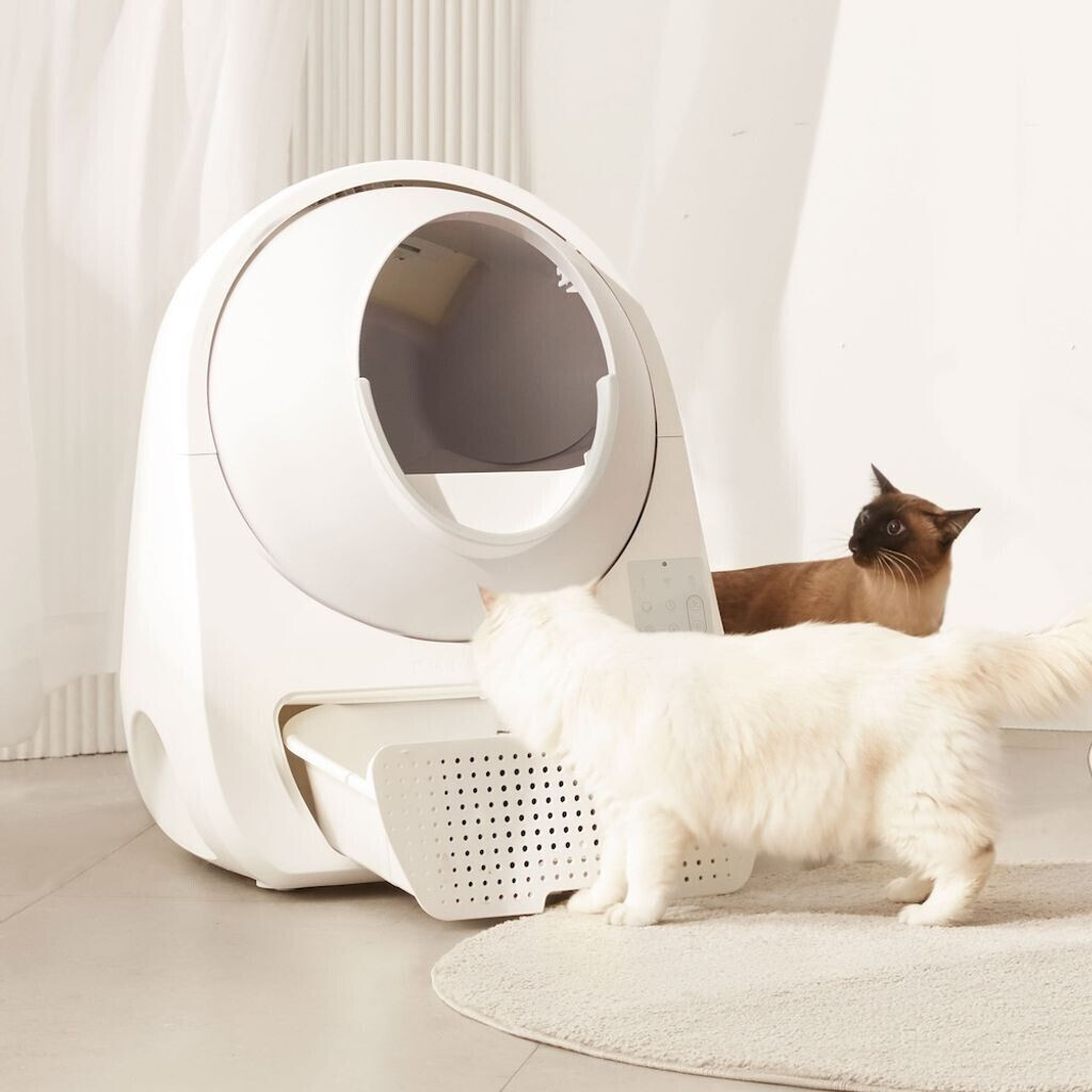 CATLINK Bac à litière pour chat