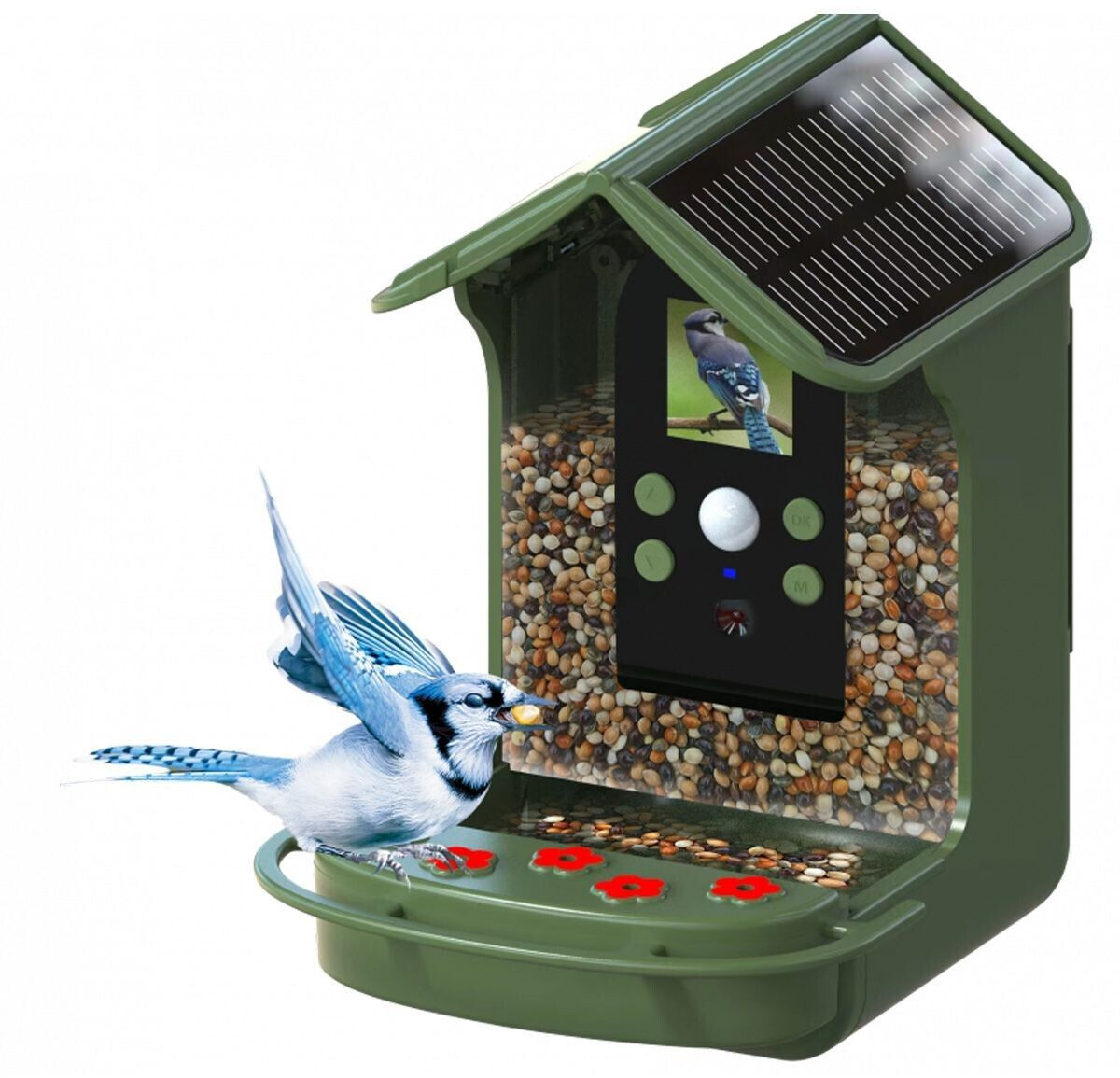 Braun Photo Technik Phototechnik Bird Cam 130 Solar