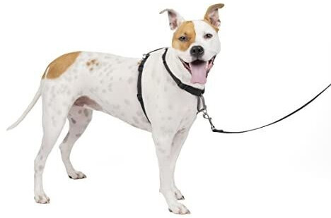 Petsafe Harnais 3 en 1 avec laisse 2 points