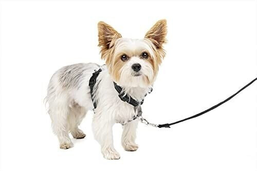 Petsafe Harnais 3 en 1 avec laisse 2 points noir XS
