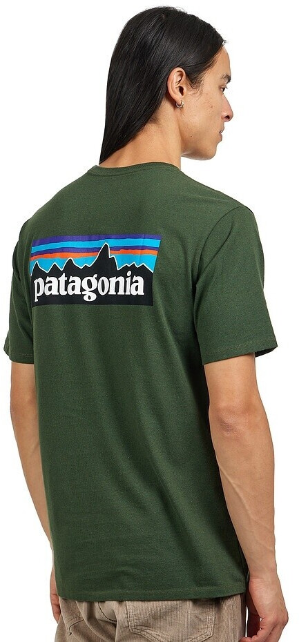 Patagonia P-6 Logo Responsibili-Tee (38504) Torrey Pine Green