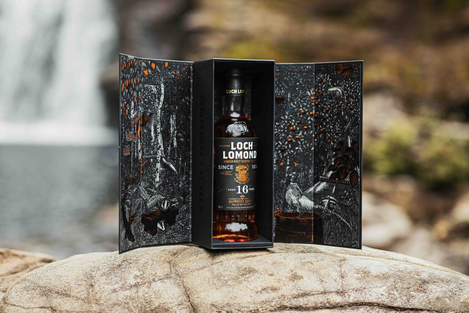 Loch Lomond Aged 16 Years Falls of Falloch Waypoint 0,7l 46,2% ab