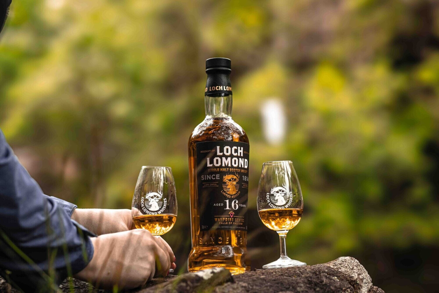 Loch Lomond Aged 16 Years Falls of Falloch Waypoint 0,7l 46,2% ab 