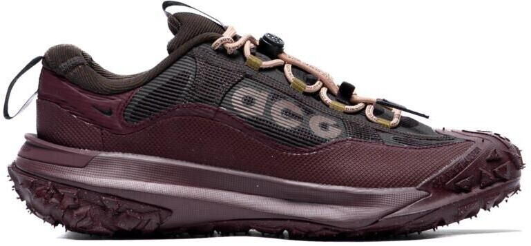 Nike ACG Mountain Fly 2 Low GTX (HF6245-200) brown/red