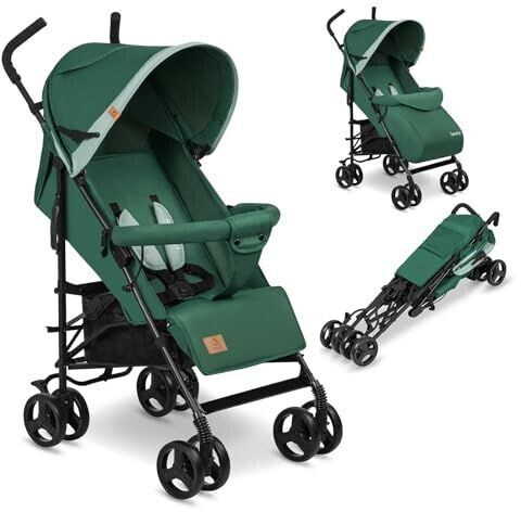 Lionelo Elia vert