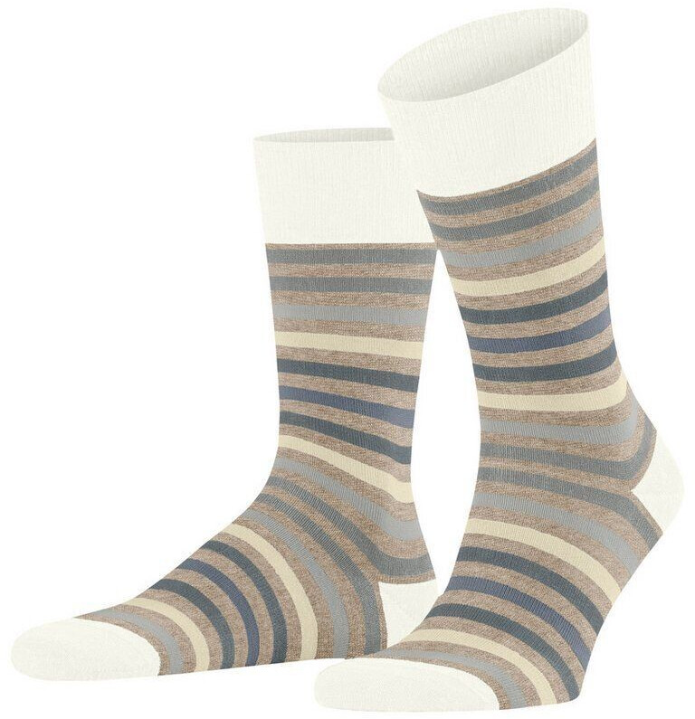 FALKE Uomo Calzini Tinted Stripe - Termici In Lana Vergine, Antiodore, Traspiranti, Taglie 39-50