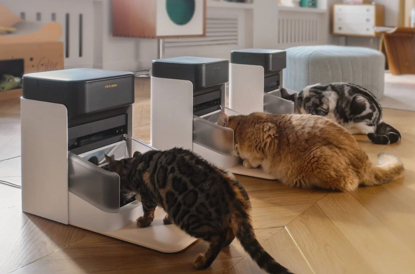 Petlibro Distributeur de nourriture pour chat Petlibro Distributeur de nourriture pour chat