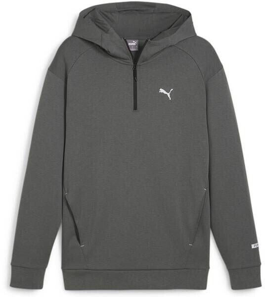 Puma Hooded Sweatshirt RAD CAL Half-Zip DK mineral gray