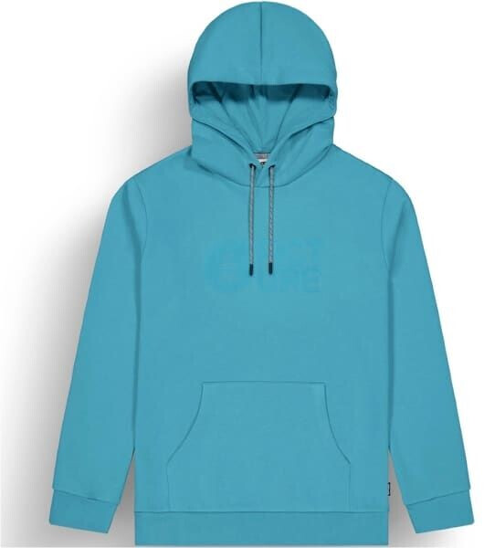 Picture Flock Hoodie biscay bay