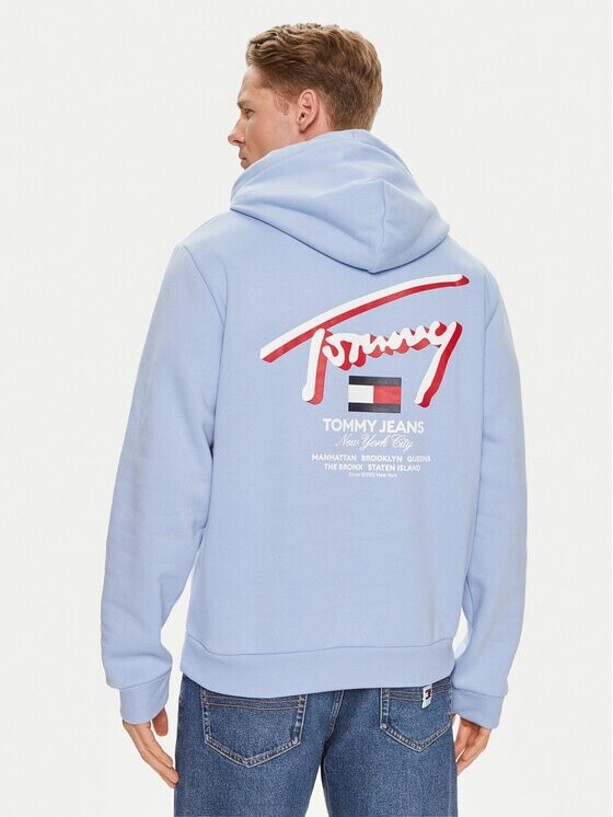 Tommy Hilfiger Reg 3d Street Tj Hood Ext Hoodie