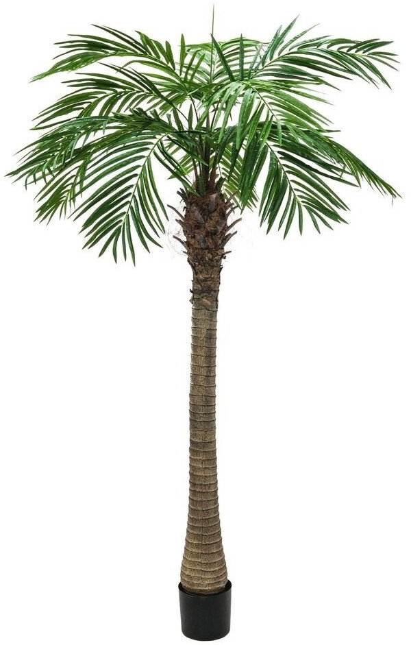 Europalms 82510720
