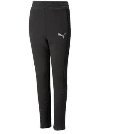 Puma Training Pants EVOSTRIPE Pants B 673190
