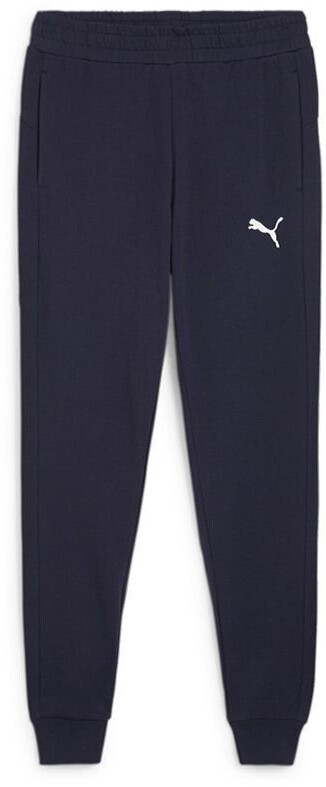 Puma Teamgoal Casuals Pants blue