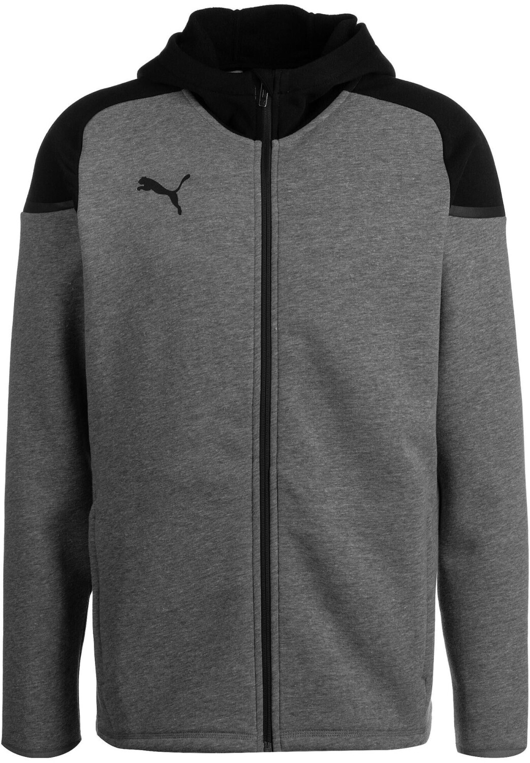 Puma TeamCUP Casuals Hoodie gray black