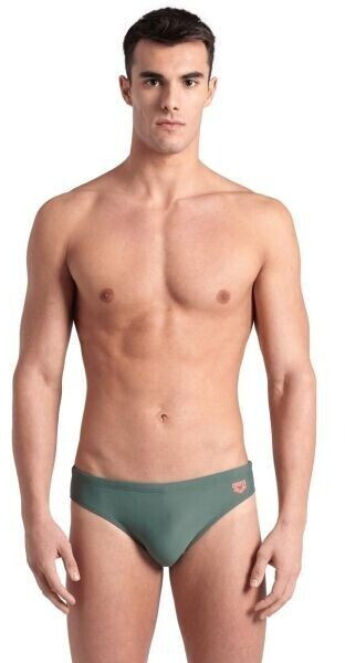 Arena SANTAMARIAS Swim Shorts khaki