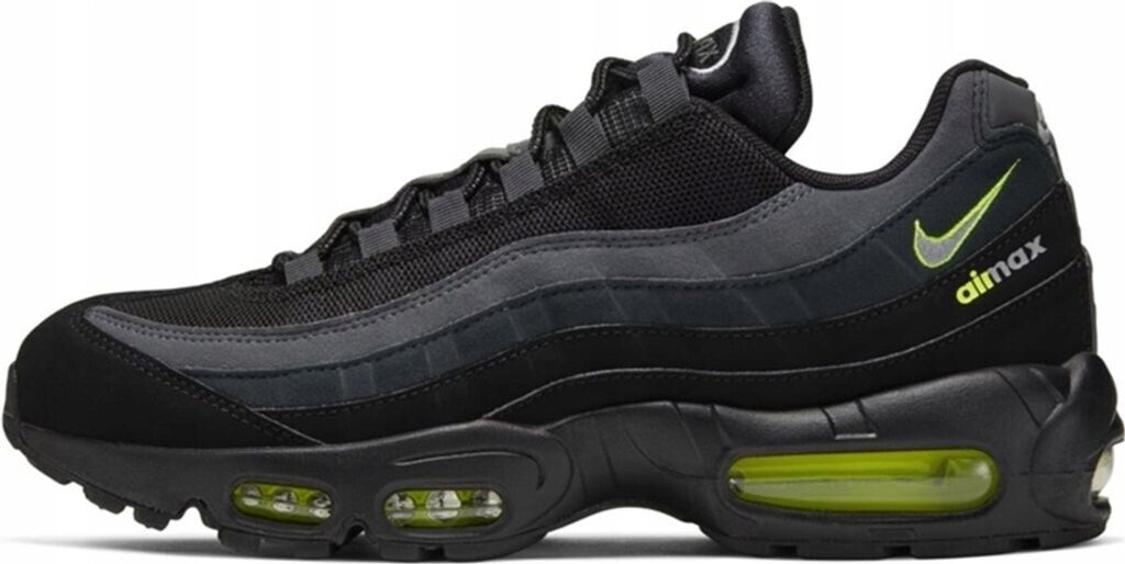 Nike Air Max 95 Shoe black CV1635-002