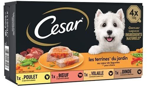 Cesar Les Terrines du Jardin au coeur de légumes pour chien poulet/boeuf/volaille/dinde (24 x 150 g)