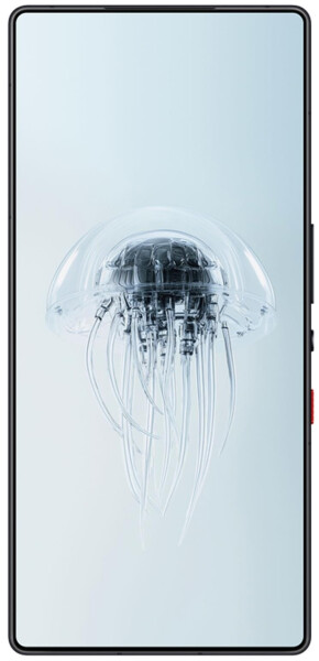 nubia REDMAGIC 10 Pro 512GB Dusk, Bild 2
