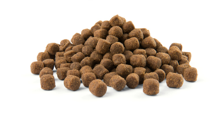 Versele-Laga Croquettes pour chien 2.5 kg Versele-Laga Croquettes pour chien 2.5 kg