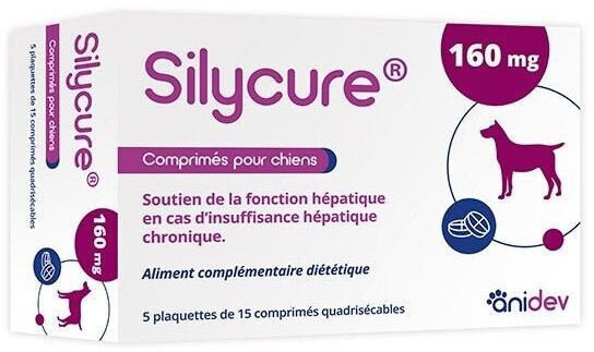 Anidev Silycure 160 mg (75 comprimés)
