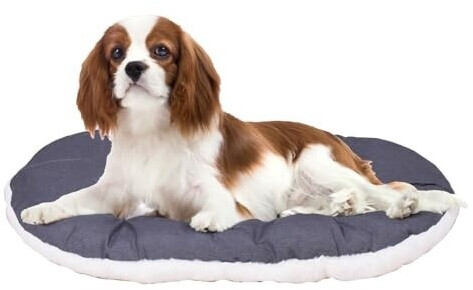 Ferplast Coussin pour chien Jun-65 Ferplast Coussin pour chien Jun-65