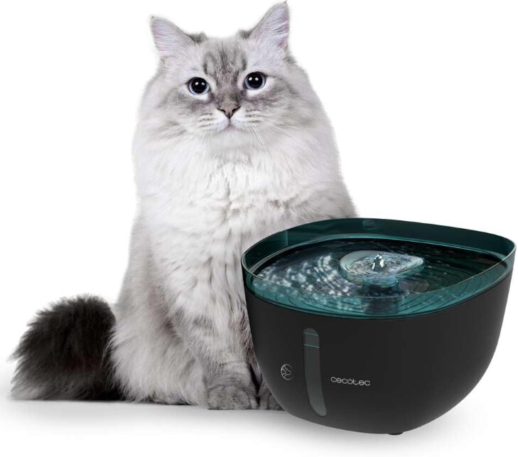 Cecotec Fontaine à eau pour chat