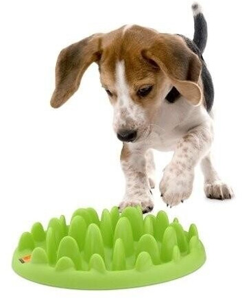 The Company of Animals Gamelle pour chien mini The Company of Animals Gamelle pour chien mini