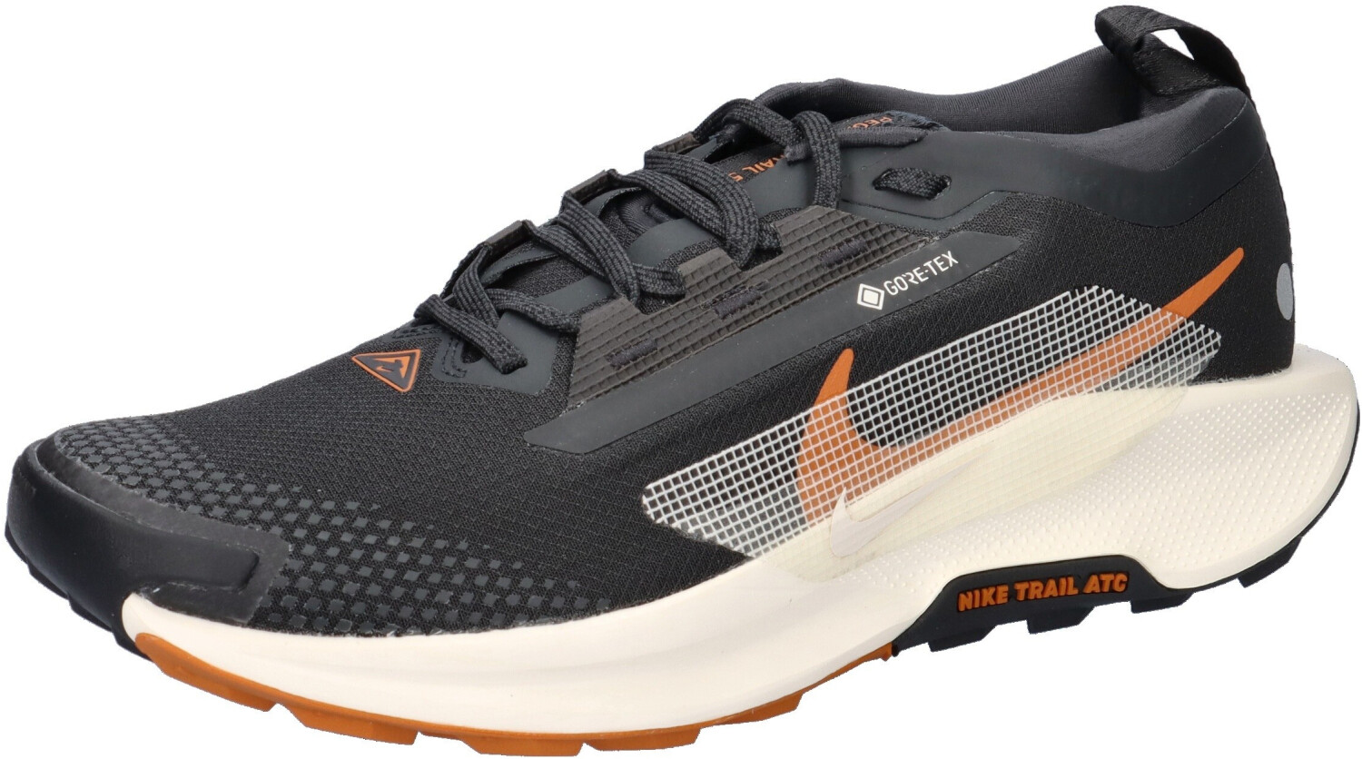 Nike Pegasus Trail 5 GTX (FQ0908-007) black